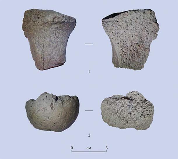 Two fragments of bones found on Area 2 of Tuyana site. Image: Evgeniy Rogovskoi