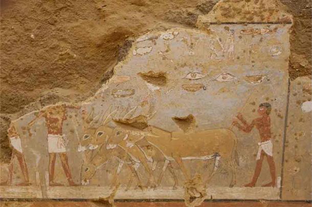Fresco depicting farming life from the Old Kingdom Era. (Ministry of Tourism & Antiquities)