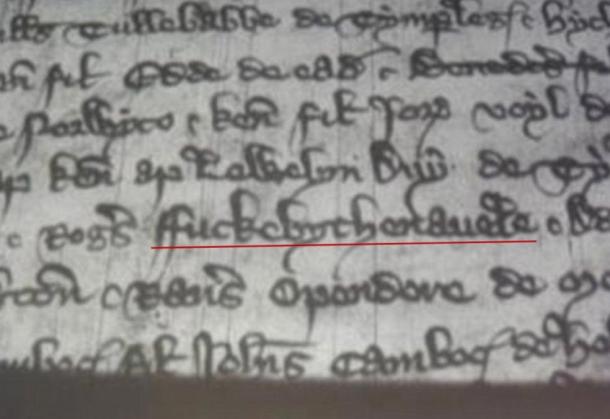 Fuckebythenavele: Historians uncover oldest known use of the F-word in 1310 court records