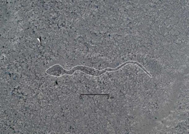A snake geoglyph just discovered with 168 other images in the Nazca desert. (Yamagata University)