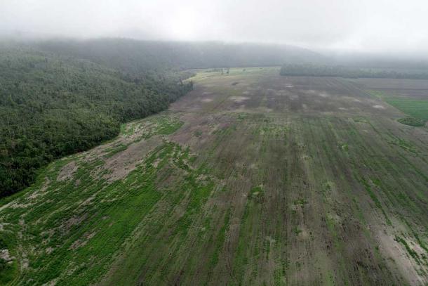 Anthropology graduate students Rachel Gill and Yifan Wang are studying the remains of an ancient Maya settlement in Belize. This is an aerial photo of the archaeological site facing east. The white smudges are ancestral Maya mounds. (©2022 VOPA and Belize Institute of Archaeology, NICH / University of Illinois)
