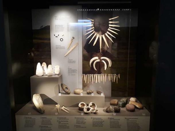 The grave goods, including a 3,800-year-old toolkit, were discovered over 200 years ago at the Upton Lovell burial and have been on display at the Wiltshire Museum in Devizes. (Crellin et. al / Antiquity Publications Ltd)