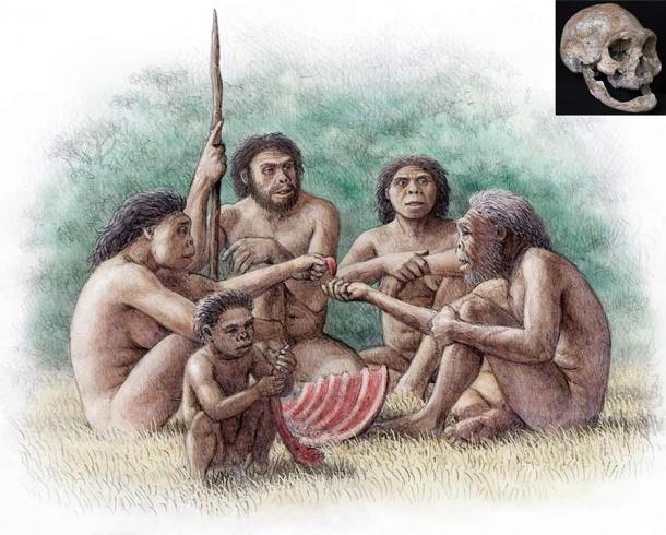 Un grupo de Homo erectus comparte comida con un anciano desdentado que vivió varios años sin dientes, un comportamiento altruista asociado con los primeros humanos descubierto en Dmanisi. (Mauricio Antón / Naturaleza)