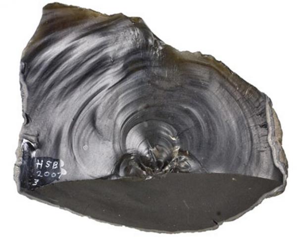 A hand ax from Happisburgh, Norfolk, show people lived in Britain 1 million years ago, far earlier the previously believed. This tool will be on display in the Ice Age Island exhibition at Jersey Museum.