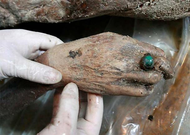 The hand of the Ming Dynasty Taizhou mummy, wearing a striking green ring. (GU XIANGZHONG, XINHUA)