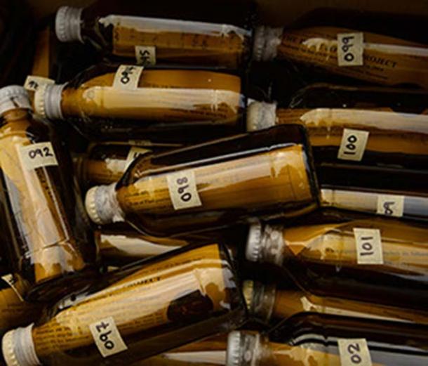 A handful of the 1000s of bottles dropped to study ocean currents by Eddy Carmack’s Drift Bottle Project 
