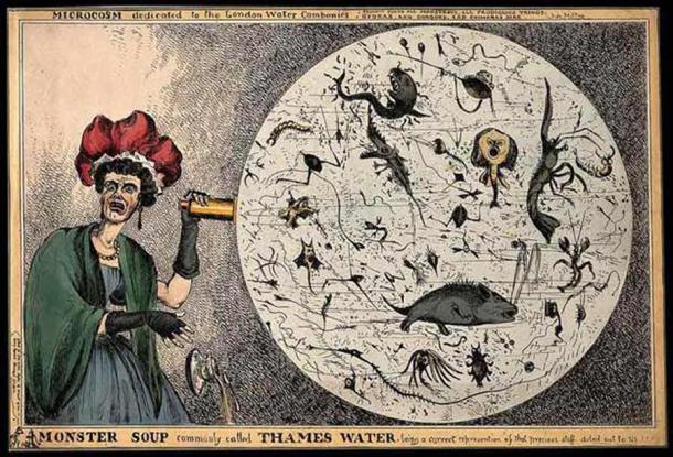 Caricature of a 19th-century woman during London’s Great Stink woman drops her teacup in horror upon viewing a magnified drop of polluted Thames River water, Monster Soup commonly called Thames Water by William Heath (Public domain)