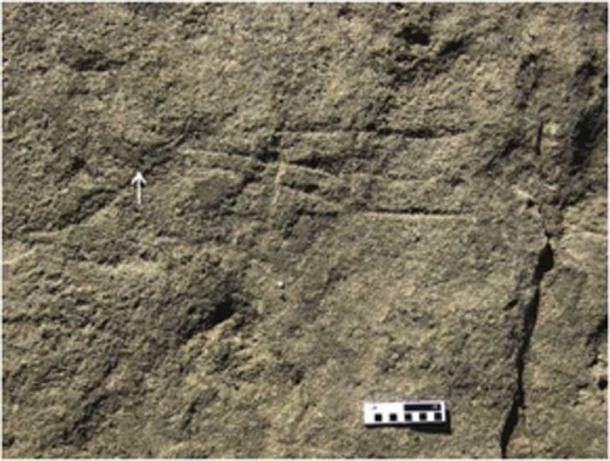 A “hashtag” pattern was discovered beside possible human footprints. (Science Direct)