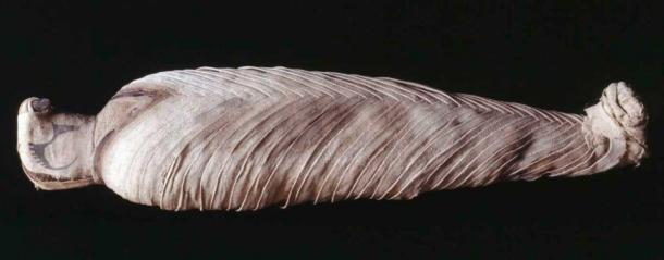 Momia de halcón con cabeza modelada al estilo naturista, con detalles pintados, envuelta en estrechas vendas de lino fino, dispuestas en forma de espiga. Período romano, Egipto. Encontrado en Saqqara. (Administradores del Museo Británico / CC by SA 4.0)