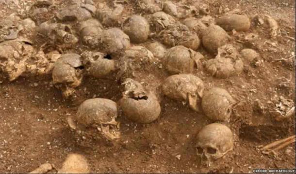 A pile of heads was found separate to the rest of the bodies in a mass grave. Their skeletal remains are now known as the headless Vikings of Dorset, since not only were their bodies found separated from their skulls, but some of the heads were missing. (Oxford Archaeology)