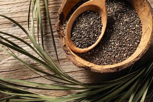 Maya healing practices incorporated the use of chia seeds. (mira_y / Adobe Stock)