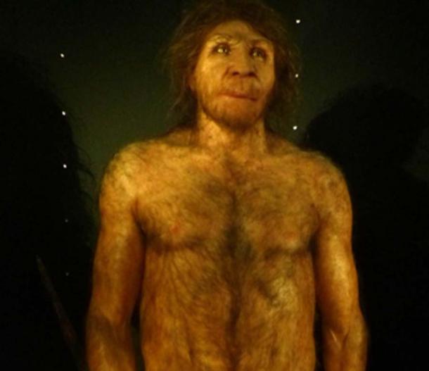 Stone Age H. heidelbergensis adult male reconstruction. (Dbachmann / CC BY-SA 4.0)