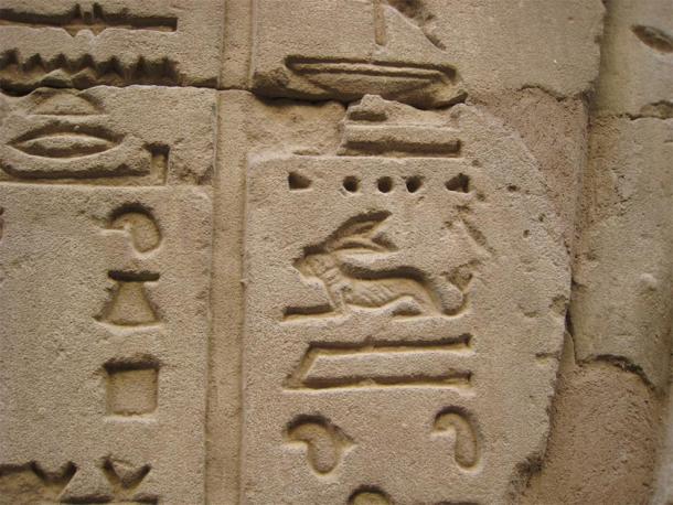 Egyptian hieroglyph of a hare, which symbolized life. (Dudubot / CC BY-SA 2.0)