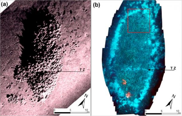High resolution seafloor sonar image showing: the cargo outline of the Roman shipwreck and individual amphorae lying on a muddy sand seafloor. (Ionian Aquarium)