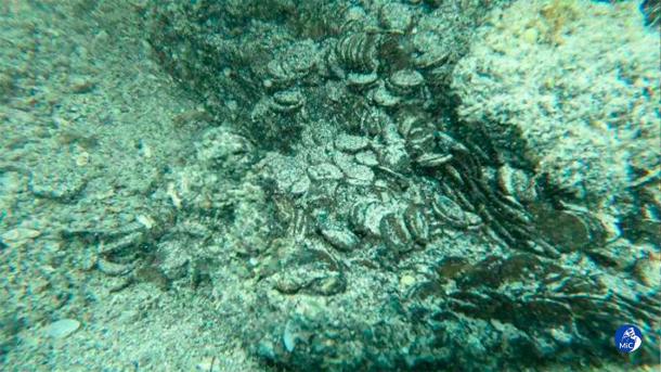 The hoard of coins in situ on the seabed. Credit: Italy’s Culture Ministry.