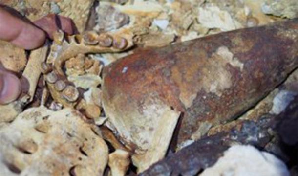 Human bones, a sea shell, and currency blades found in the cave burial. (NOT Engineers)