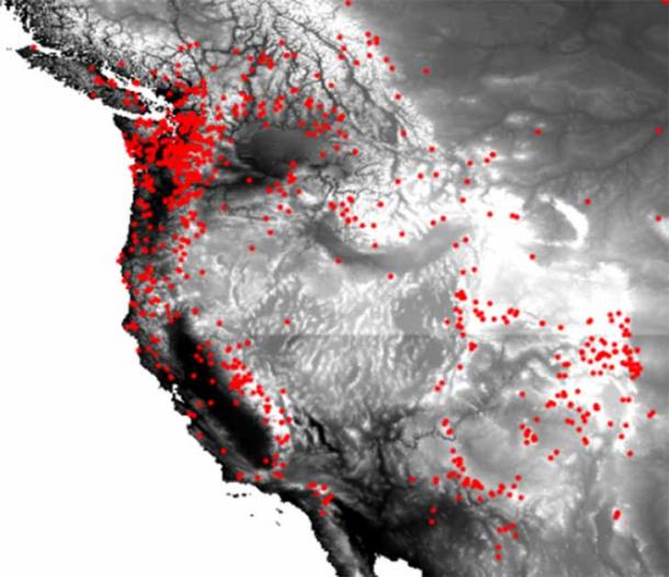 Every year, there are hundreds of reported Bigfoot or Sasquatch cryptid sightings in the western United States. Can all these people be mistaken? (Edwin Duesiester / CC BY SA 4.0)