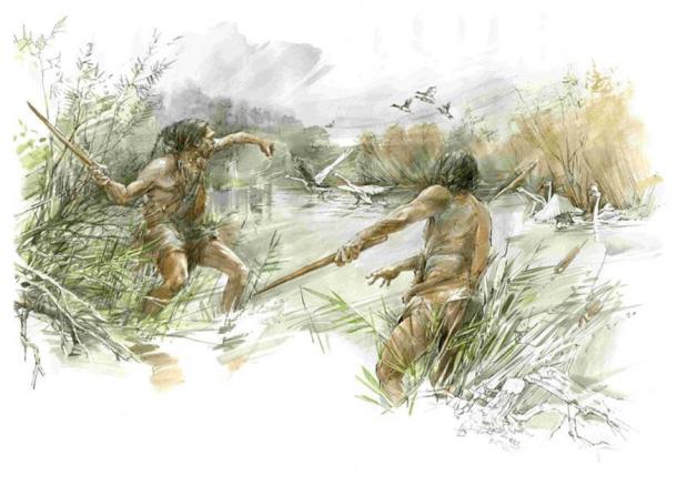 The ice age hunters may have used the throwing stick / ‘killing stick’ to hunt water birds. (Eberhard Karls Universität Tübingen)