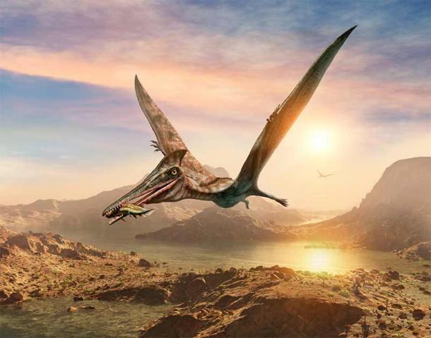 Ilustración 3D de un artista de un dinosaurio pterosaurio que lleva un pez grande en sus mandíbulas. (pintura de guerra cobra/Adobe Stock)