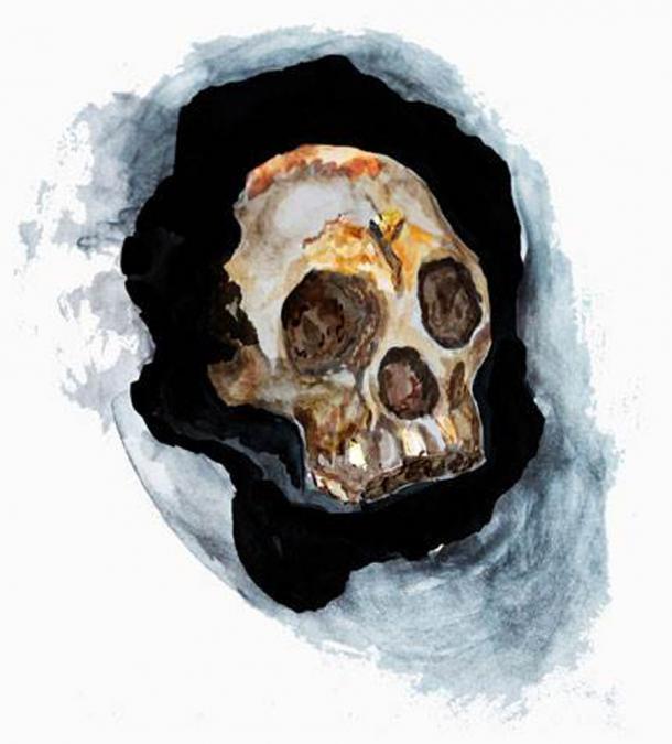 An illustration by Boniswa Khumalo of the skull of the Homo naledi child known as Leti. (Boniswa Khumalo / University of the Witwatersrand, Johannesburg)