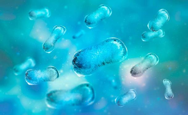 3D illustration of a colony of microbes. Source: Siarhei / Adobe Stock