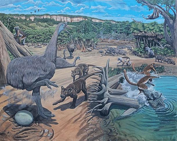Research has found that when early Holocene humans first lived on the island, it was also inhabited by a wide range of now extinct megafauna, including the giant sloth, elephant birds, giant tortoises and pygmy hippos. (Image: ©Julian Hume)