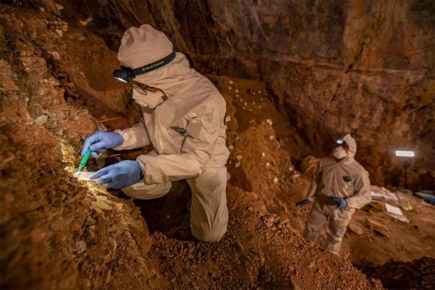Assistant professor Mikkel Winther Pedersen from the University of Copenhagen taking DNA samples in Chiquihuite cave, a key site in researching the peopling of the Americas. (Image:  Devlin A. Gandy/ Nature)