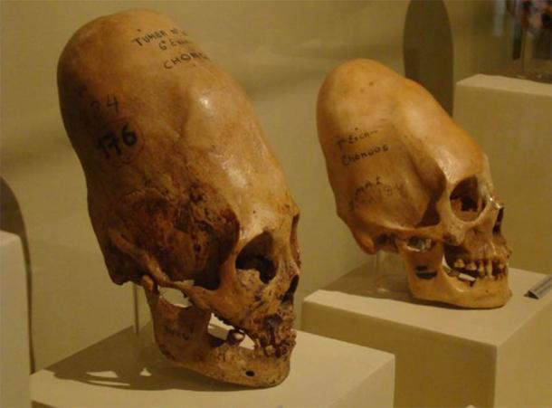 Cráneos de Paracas, encontrados en la costa sur del Perú. (CC BY-SA 4.0)