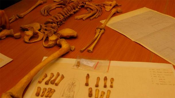 Д-р Малгожата Кот се натъкна на мистериозните останки, докато разглеждаше артефакти от стари изследователски проекти в складовете на Варшавския университет.  (Małgorzata Kot / Варшавски университет)