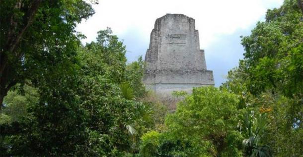 Un templo se eleva sobre la selva tropical de la antigua ciudad maya de Tikal. (David Lenz)