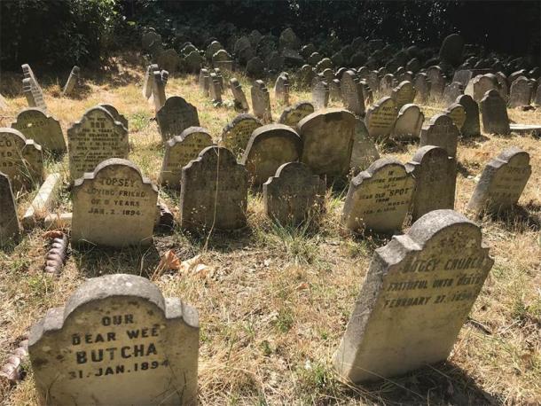 Pierres tombales survivantes du cimetière pour animaux de compagnie de Hyde Park. (photographie d'E. Tourigny, prise avec l'autorisation des Parcs royaux/Antiquité)
