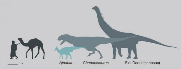 Silueta que muestra el tamaño de Ajnabia odysseus en comparación con los humanos y la fauna contemporánea de dinosaurios de Maastrichtiano de Marruecos. (Dr. Nick Longrich/Science Direct)