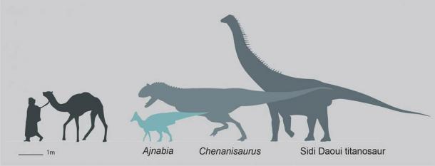 Silhouette showing Ajnabia odysseus size relative to humans and contemporary dinosaur fauna of Maastricht Morocco.  (Dr Nick Longrich / Science Direct)