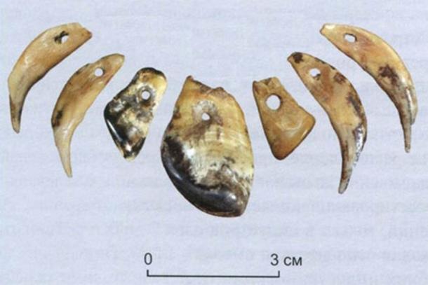 El artefacto más antiguo jamás encontrado en Eurasia es un colgante de diente de alce. Fue descubierto en la región de Altai de Rusia en una cueva de Denisovan. (Instituto de Arqueología y Etnografía)