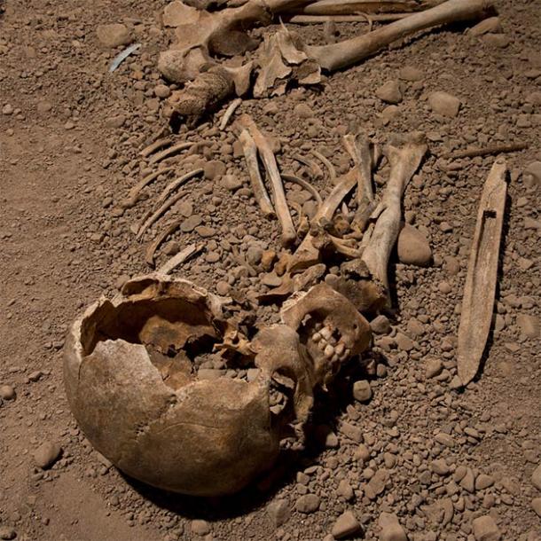 Researchers used genomic DNA extracted from the skeletal remains of a male individual associated with the Neolithic Battle Axe culture to try to understand the genomic ancestry of the Scandinavian culture and its relationship to the broader Corded Ware culture. (Jonas Karlsson / Östergötlands Museum)