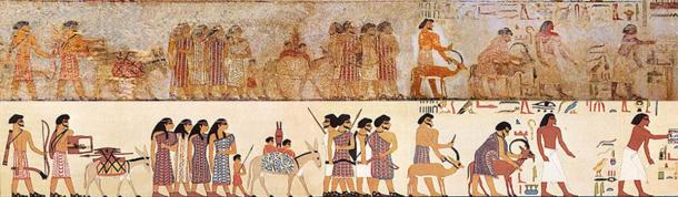 Procession of foreign delegation visiting Egypt found at the tomb of Khnumhotep I, including “Abisha the Hyksos”, one of the first known uses of the term Hyksos. (Public domain) Below is drawing of the same. (NebMaatRa / CC BY-SA 3.0)