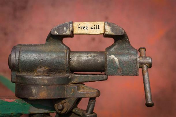 According to Professor McFadden, the brain's self-generated electromagnetic field and charged neurons generate what we perceive as “free will.” (iushakovsky / Adobe Stock)