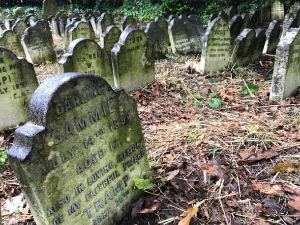 Gravestones at one of the pet cemeteries. (E. Tourigny/Antiquity)