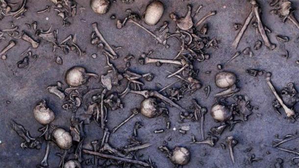 The bones of the dead on the Tollense battlefield, which is now considered Europe's oldest massacre.  (State Office for Culture and Monument Preservation Mecklenburg-Western Pomerania)