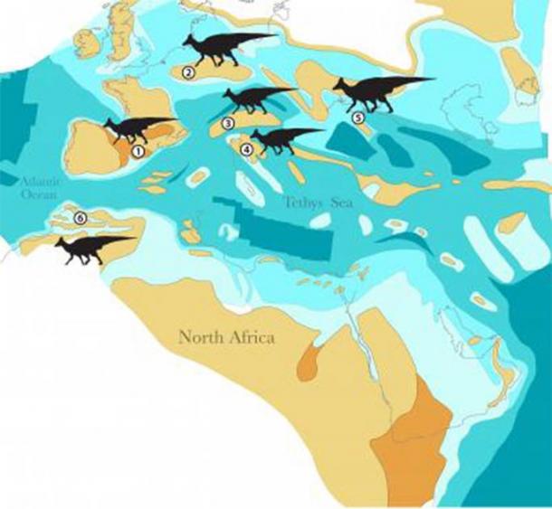 Map showing the location of duck-billed dinosaurs during the Late Cretaceous period.  (Dr Nick Longrich / Science Direct)