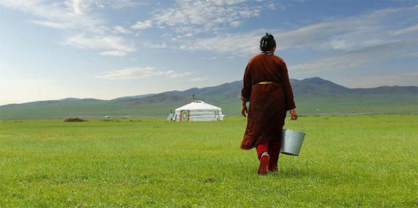 Agricultor cargando un balde de leche después de ordeñar una vaca en las praderas de Mongolia. (MICHEL/Adobe Stock)