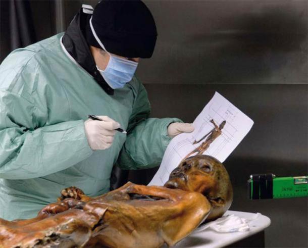 Examen científico de la momia de Ötzi. (Museo de Arqueología del Tirol del Sur /EURAC/Samadelli/Stashitz)