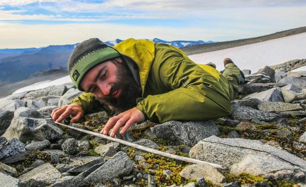 Un investigador examina una antigua flecha de madera que emergió del parche de hielo de Langfonne en Noruega. (Programa de Arqueología Glaciar, Consejo del Condado de Innlandet)