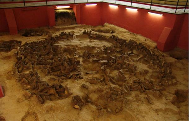 The Museum-reserve Kostenki consists of 26 archeological sites of Upper Paleolithic period. One of its sites Kostenki 11 was conserved inside the museum building in 1979. This cultural layer represents the ancient dwellings remains made of mammoth bones. This dwelling, stone and bone artifacts and artistic reconstructions of Ice Period represent the modern museum exposition. (Image: Russian Museums Info)