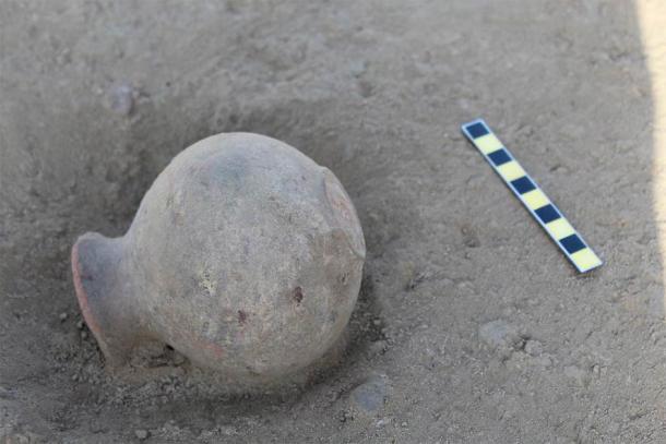 Complete vessel found during excavation at the Indus site of Lohari Ragho I, Haryana. Lipid residues on ancient pots are revealing new information on Indus Valley food choices and cooking. (Image: Cameron Petrie)