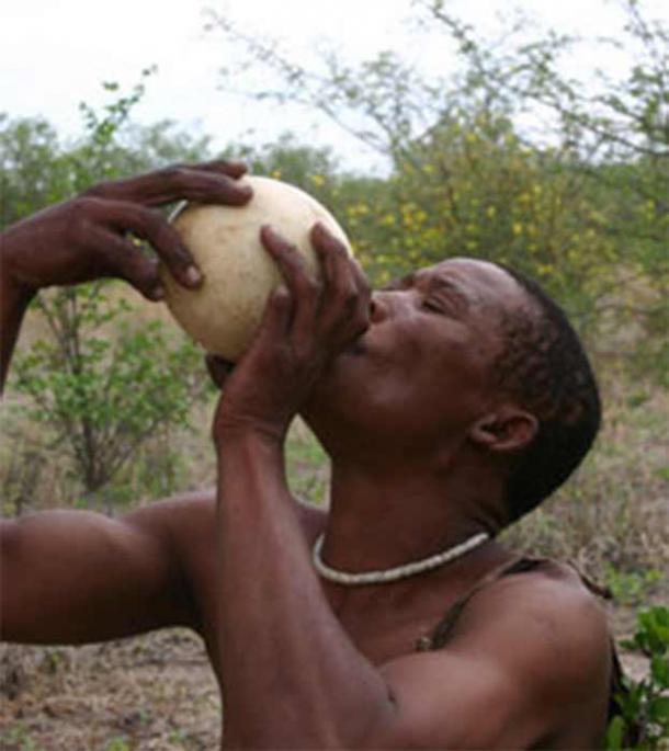 Las culturas antiguas valoraban el agua: los bosquimanos bebían agua preciosa almacenada en un huevo de avestruz (Imagen: DVL2/ CC BY-SA 3.0)
