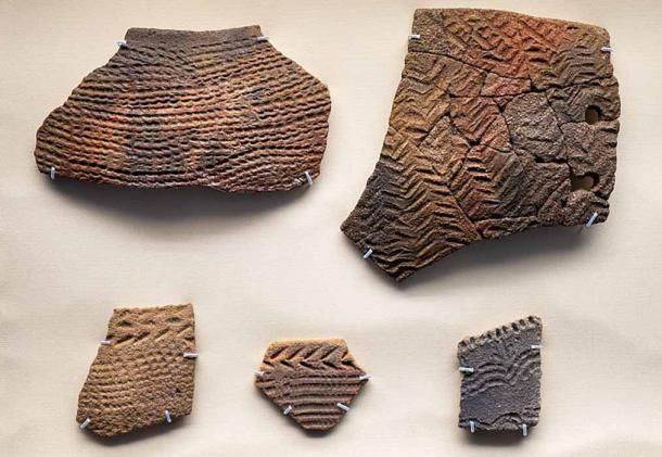 Pottery bowl fragments in the British Museum from early Neolithic Egypt, Nabta (7050–6100 BC) (CC BY-SA 2.0)