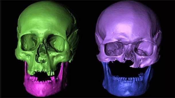 The new results conclude that the remains discovered almost all belong to the same family. (University of Bradford)