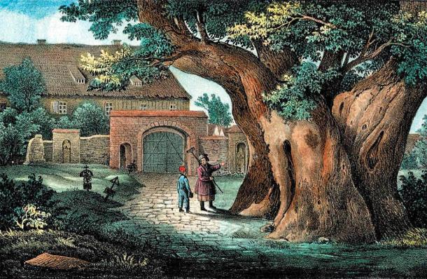 The linden tree is strongly connected with souls and the god Veles in ancient Germanic myth. (Carl Wilhelm Arldt / Public domain)