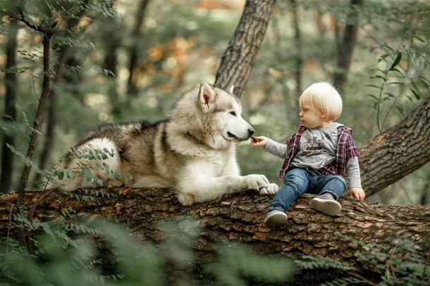 Though the theories and explanations for dog domestication vary greatly they all suggest that the proximity of man and wolf led to the relationships we know today, like this one. (Stanislav / Adobe Stock)